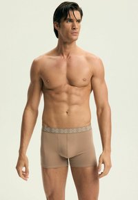 Brązowe slipy z wzorzystym szarym pasem, wykonane z gładkiego materiału, o dopasowanym kroju i długości do połowy uda.