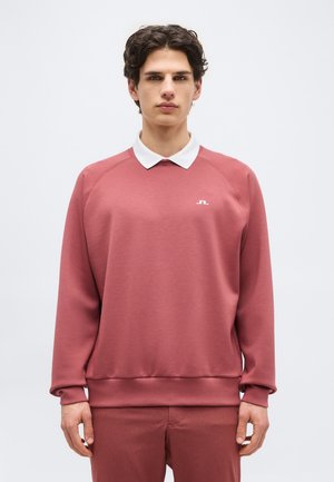 Mladý muž s tmavými vlnitými vlasmi, oblečený v ružovkastom pulóvri cez bielu košeľu s golierom, stojaci na jednoduchom svetlom pozadí.