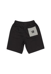 Quiksilver TAKE US BACK - Shorts - kta