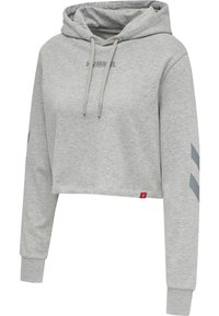 Sweat à capuche gris raccourci en tissu doux ; présente des cordons de serrage, un logo sur la poitrine et un motif en chevrons bicolore sur les manches. Étiquette rouge en bas.