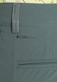 Grå tygshorts med vävd midja och en bakficka. Columbia-logotypen är broderad i mörkgrått på tyget.