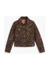 ORIGINAL TRUCKER - Spijkerjas - brown