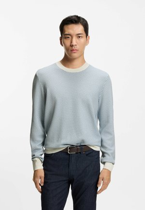 Young man wearing a light blue patterned sweater with cream cuffs and collar, dark jeans, and a brown belt, standing against a plain background.