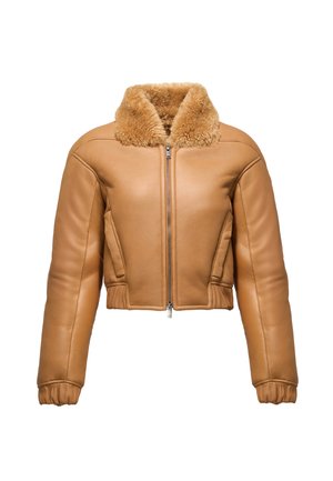LIVIANA - Giacca invernale - dark beige