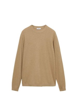Beige trui met lange mouwen, gemaakt van zachte, gestructureerde stof met een ronde hals en een ontspannen pasvorm. Minimalistisch ontwerp, zonder zichtbare patronen of accenten.