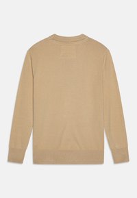 Beiger Pullover mit glatter Textur, langen Ärmeln und klassischem Rundhalsausschnitt. Mit gerippten Bündchen und Saum. Keine sichtbaren Muster oder Akzente.
