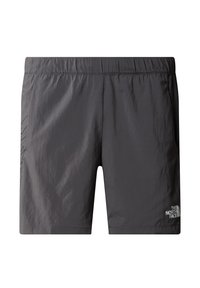The North Face MA GRAPHIC - Shorts - anthracite grey tnf bla