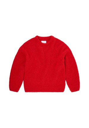 DUN TEXTURED SWEATER UNISEX - Džemperis - brown