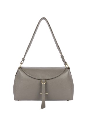 Borsa a tracolla in pelle grigia con patta curvata, hardware dorato e tracolla regolabile, caratterizzata da un dettaglio centrale in pelle con nappina.