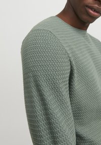 Jack & Jones CREW NECK NOOS - Trui - pad