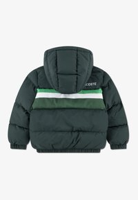Lacoste CHEST STRIPE PUFFE - Zimska jakna - sinople