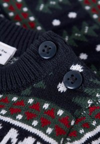 Maglione lavorato a maglia blu scuro con dettagli a motivo verde, rosso e bianco. Presenta due bottoni scuri al colletto e un colletto a coste.