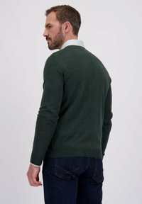 Man met kort bruin haar en een baard, gekleed in een donkergroene trui over een licht shirt en donkere spijkerbroek, van achteren kijkend naar links.