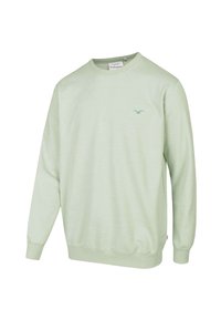 Light green sweatshirt with long sleeves, crew neck, ribbed cuffs and hem. Features a small green logo on the chest. Soft cotton blend texture.