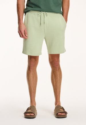 STEVE - Tracksuit bottoms - dust green