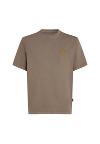 VINTAGE GRAPHIC - T-Shirt print - pure cashmere