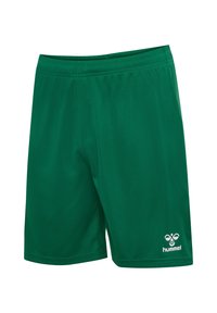 Gröna träningsshorts med elastisk midja, tillverkade av mjukt tyg. Har en liten vit logotyp på nedre högra sidan.