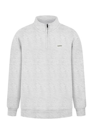 Hellgrauer Fleece-Pullover mit hohem Kragen, Viertelreißverschluss, gerippten Bündchen und Saum sowie einem kleinen Markenetikett auf der Brust.