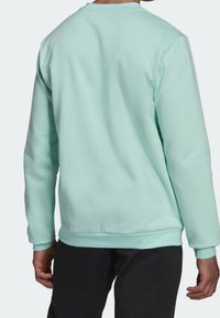Felpa verde menta con scollatura a girocollo e polsini a costine, caratterizzata da una texture liscia e una vestibilità rilassata. Abbinata a pantaloni neri.