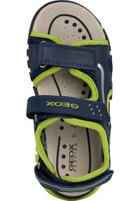 Navy blue sandal with green accents, synthetic upper, adjustable Velcro straps, and cushioned insole featuring perforations for breathability.