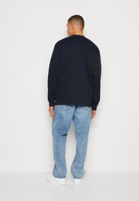 Samsøe Samsøe JOEL CREW NECK - Sudadera - salute