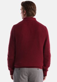 Kastanienbrauner Strickpullover mit einem strukturierten Zickzackmuster, geripptem Kragen und Bündchen sowie einem figurbetonten Saum, von hinten betrachtet.