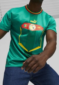 Zelený sportovní dres se žlutými akcenty a vodorovným červeným pruhem. Obsahuje logo Puma a emblém lva s národními vlajkami.