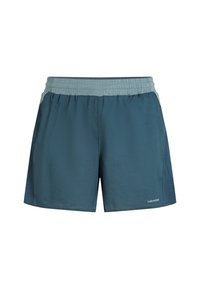 Men's athletic shorts in dark teal, made from lightweight fabric. Features an elastic waistband and contrasting light blue accents.