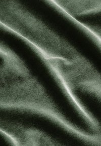 Laura Ashley REGULAR FIT - BUTTON THROUGH SET - Pidžamas komplekts - green