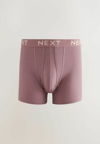 Next A FRONTS 10 PACK - Boxer alsónadrág - blue neutral purple