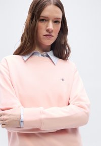 Νεαρή γυναίκα με μακριά καστανά μαλλιά, φοράει απαλό ροζ φούτερ πάνω από μπλε ριγέ πουκάμισο με γιακά, τα χέρια σταυρωμένα, με ουδέτερη έκφραση.