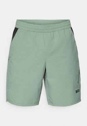 Lysgrønne shorts med elastisk talje, sorte sidelogoer, flade forlommer og logodesign på nederste venstre ben.