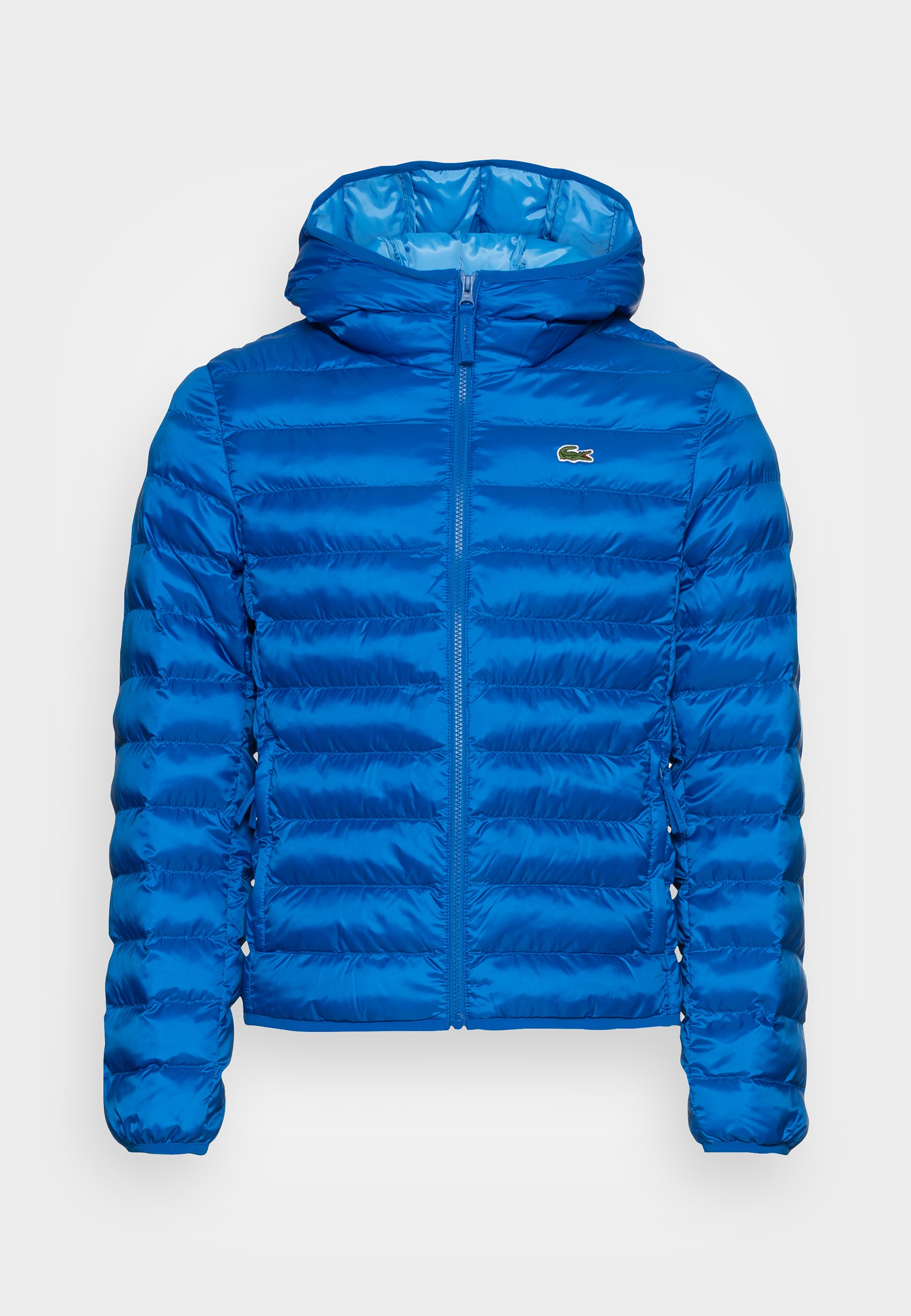 lacoste winterjas