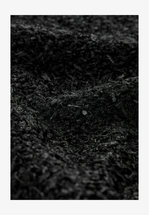 Fehler beim Generieren von Alternativtext