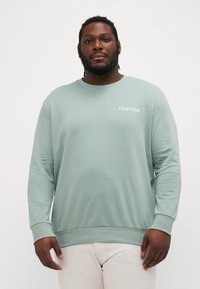 Lys grøn sweatshirt med lange ærmer, ribbede manchetter og rund halsudskæring. "Club1990" tekst i hvid på brystet. Behageligt stof.