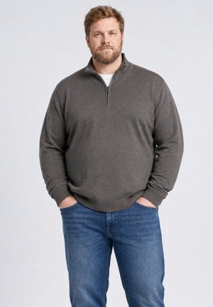 Petrol Industries, PLUS SIZE QUARTER-ZIP KNIT SWEATER STEELRIDGE - Strickpullover - mossy stone