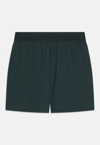 Dype grønne mesh shorts med elastisk midjebånd, som har en jevn tekstur og en løs, avslappet passform. Ingen synlige mønstre eller dekorasjoner.
