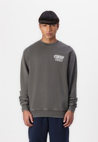 Gray cotton sweatshirt with crew neck and long sleeves. Features a white "STAN RAY" logo on the chest. Soft texture and relaxed fit.