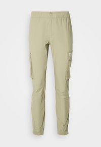 Pantalones cargo - nordic dust