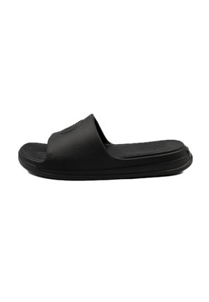 CUP - Pool slides - raven