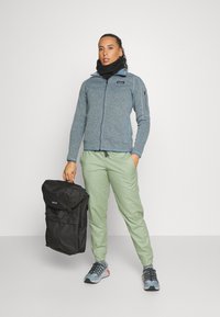 Patagonia BETTER SWEATER - Lukuga pusa - steam blue