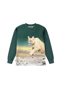 Molo REXTON LONG SLEEVES - Topper langermet - green