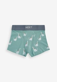 Next 10 PACK STANDARD - Panties - mineral dinosaur