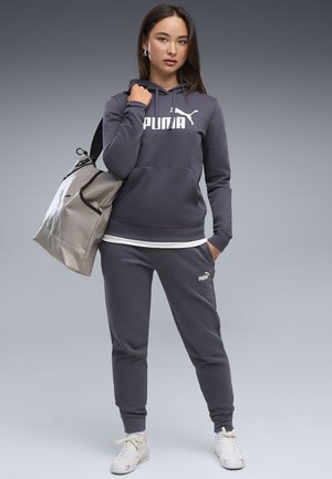 Puma, ESS NO. 1 LOGO HOODIE FL (S) - Φούτερ με κουκούλα - inky depths