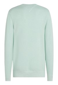 Lyst myntgrønn strikket genser med teksturert mønster, lange ermer, ribbestrikkede mansjetter og kant, og en enkel rund hals.