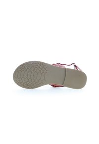 U.S. Polo Assn. Tåsandaler - canyon rose
