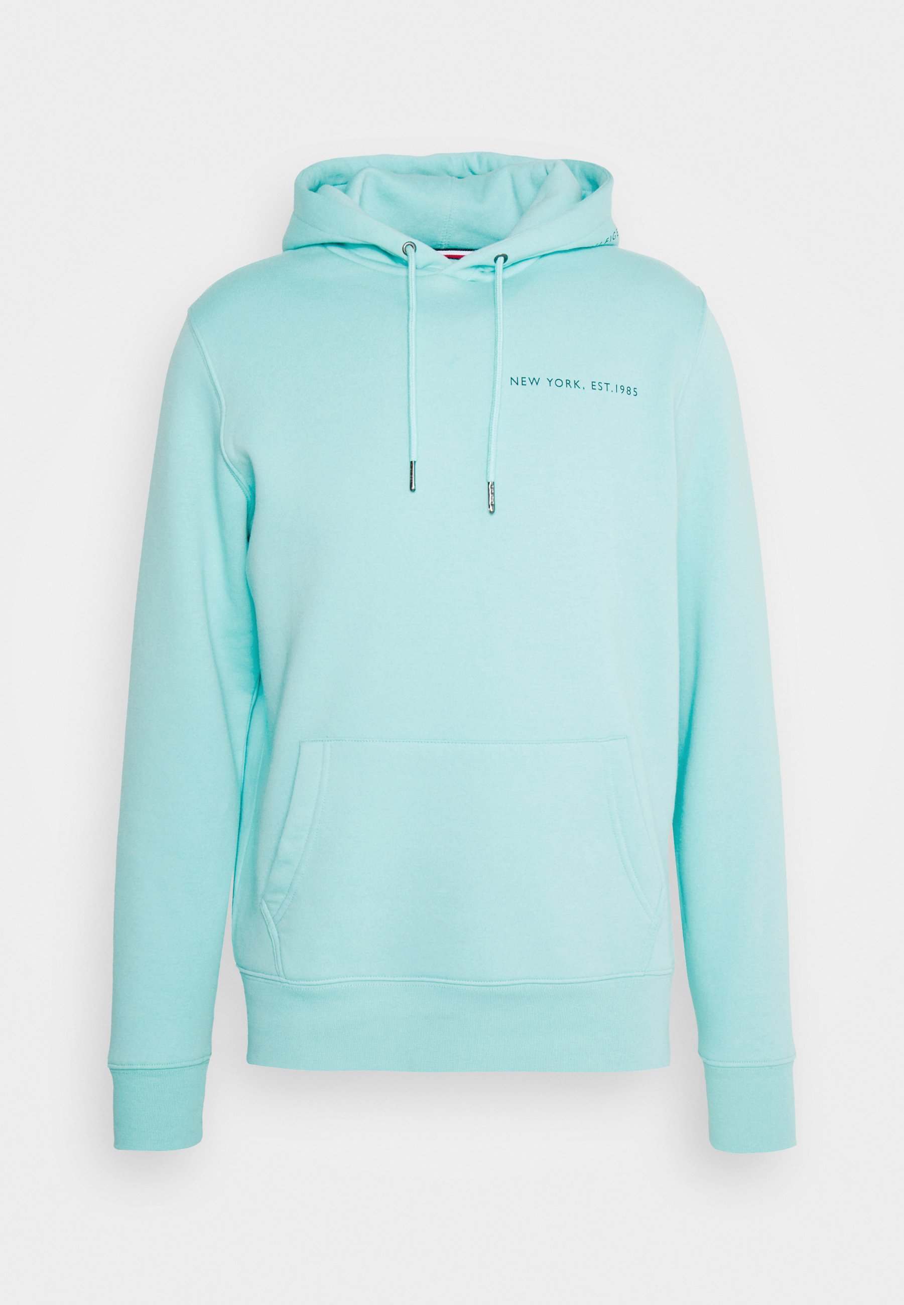 tommy hilfiger teal hoodie