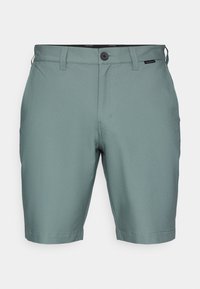 WANDERLUST SHORT - Spordišortsid - balsam green