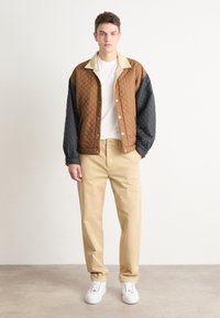 Tommy Jeans RYAN - Hlače - gentle gold