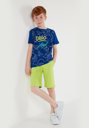 Poiss punaste juustega, kandes sinist t-särki dinosauruse trükiga, laimirohelisi lühkeseid pükse ja valgeid tossusid, seisab valge seina taustal.